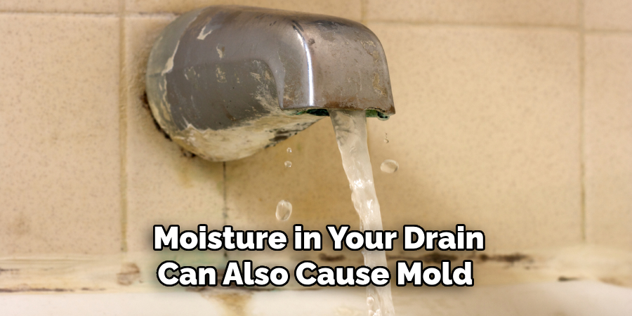 Moisture in Your Drain Can Also Cause Mold 