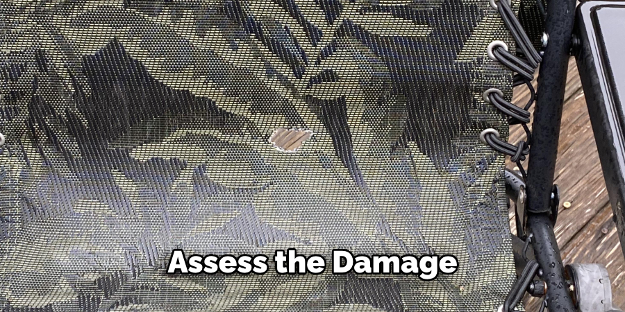 Assess the Damage