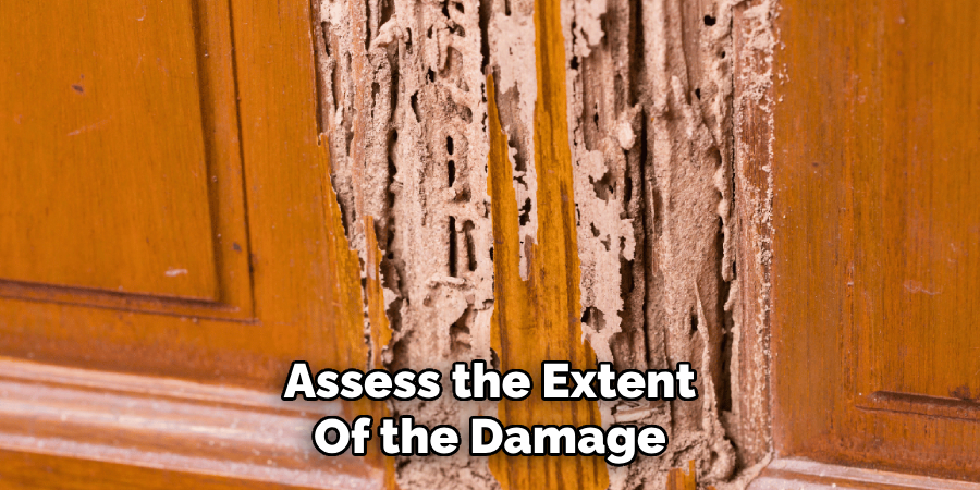 Assess the Extent Of the Damage
