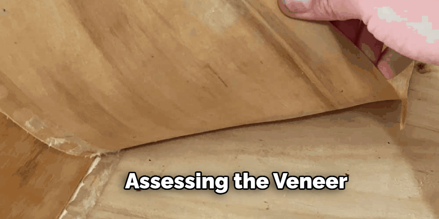 Assessing the Veneer