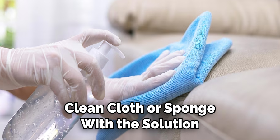 Clean Cloth or Sponge With the Solution