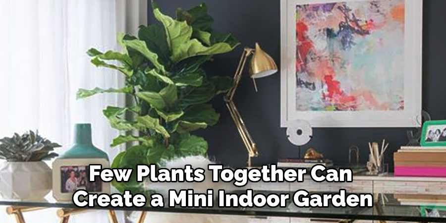 Few Plants Together Can Create a Mini Indoor Garden