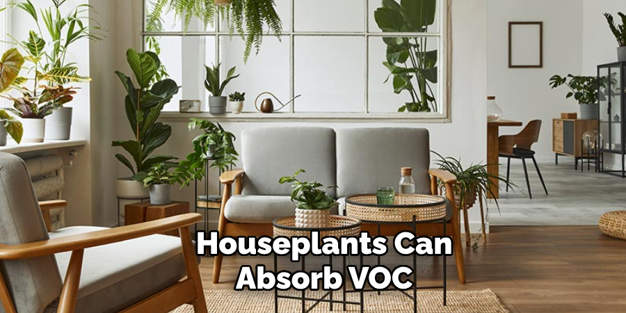 Houseplants Can Absorb