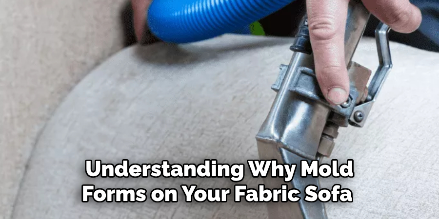 Understanding Why Mold Forms on Your Fabric Sofa 