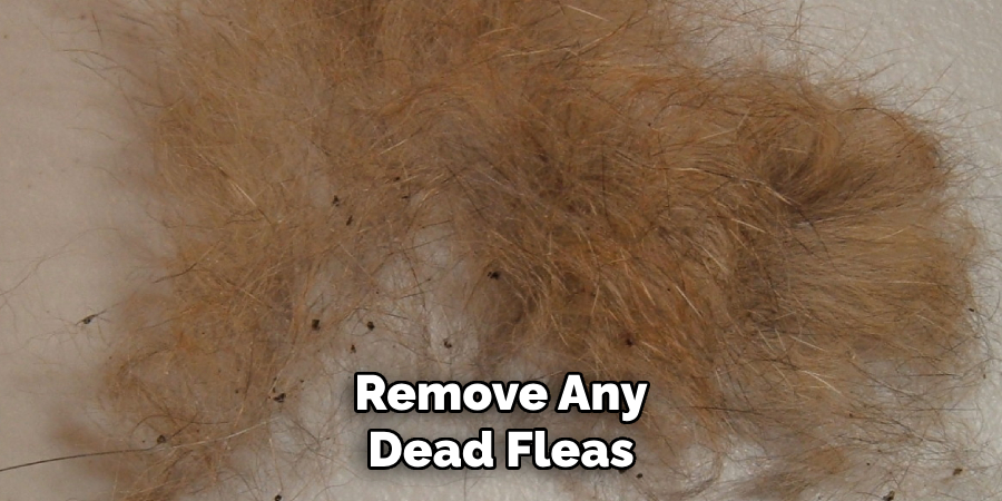 Remove Any 
Dead Fleas