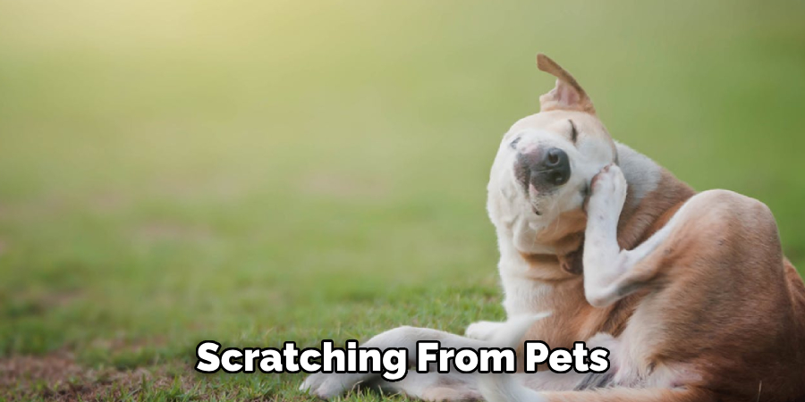 Scratching From Pets