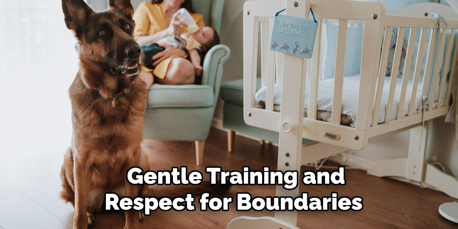  Gentle Training and Respect for Boundaries