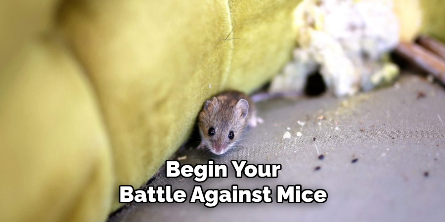 Begin Your Battle Against Mice