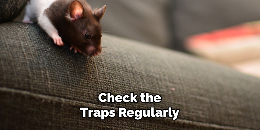 Check the Traps Regularly