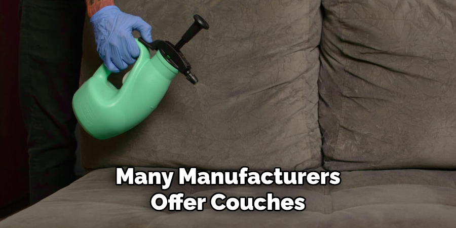 Many Manufacturers Offer Couches