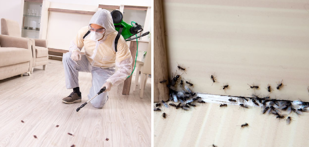 How to Keep Bugs Out of Bedroom