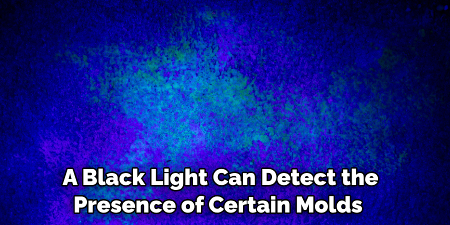 A Black Light Can Detect the Presence of Certain Molds 