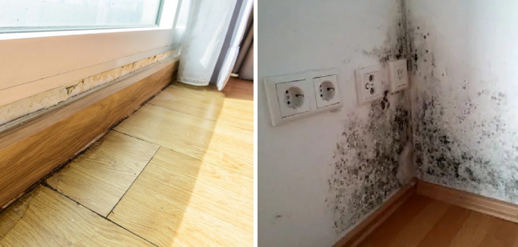 How to Detect Mold Under Flooring