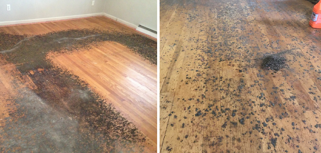 How to Remove Carpet Pad Stains from Hardwood Floors