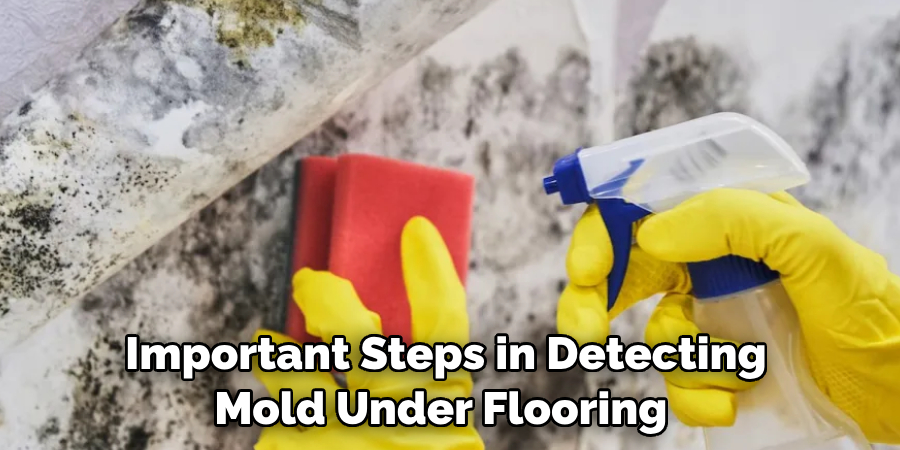  Important Steps in Detecting Mold Under Flooring
