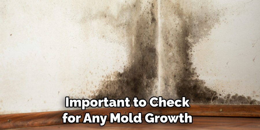 Important to Check for Any Mold Growth
