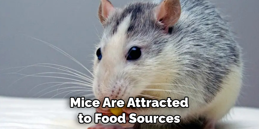 Mice Are Attracted to Food Sources