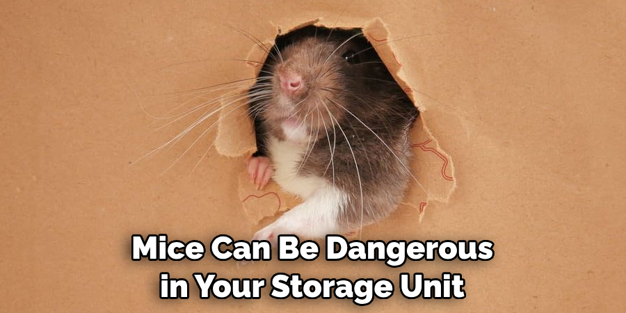 Mice Can Be Dangerous in Your Storage Unit