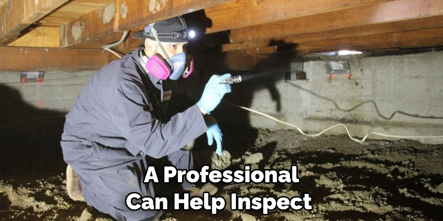 A Professional Can Help Inspect 
