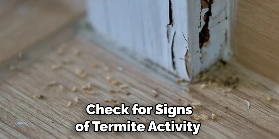 Check for Signs of Termite Activity 