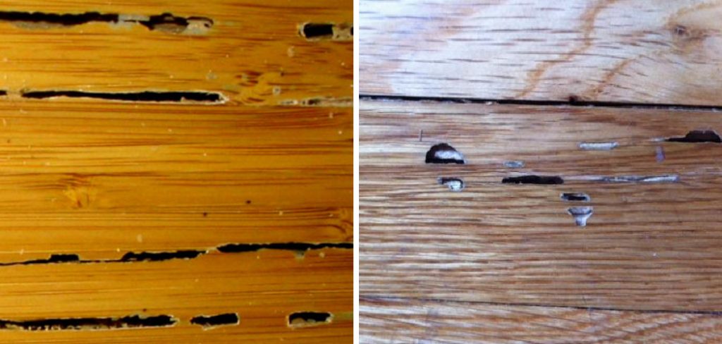 How to Treat Termites in Hardwood Floors