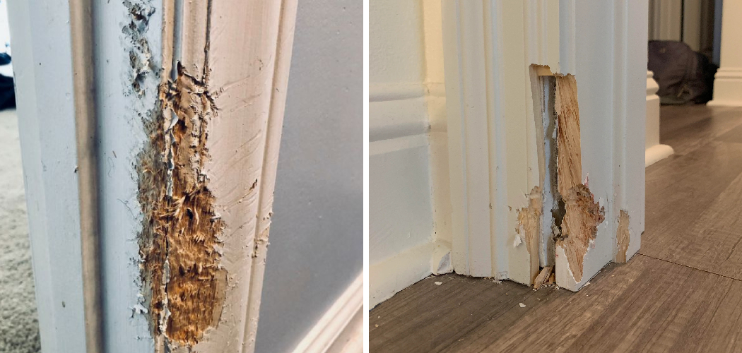 How to Fix a Chewed Door Frame