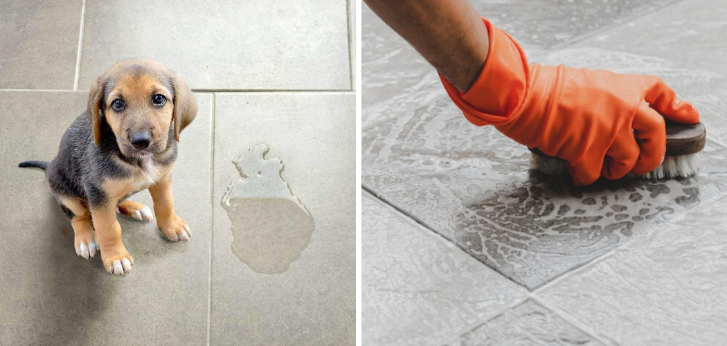 How to Get Rid of Pee Stains on Tile Floor