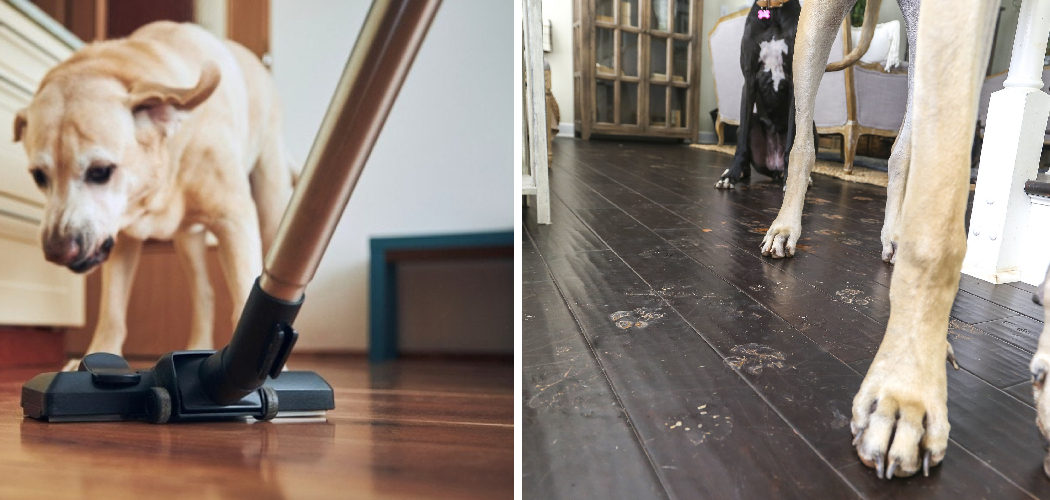How to Keep Floors Clean With Dogs