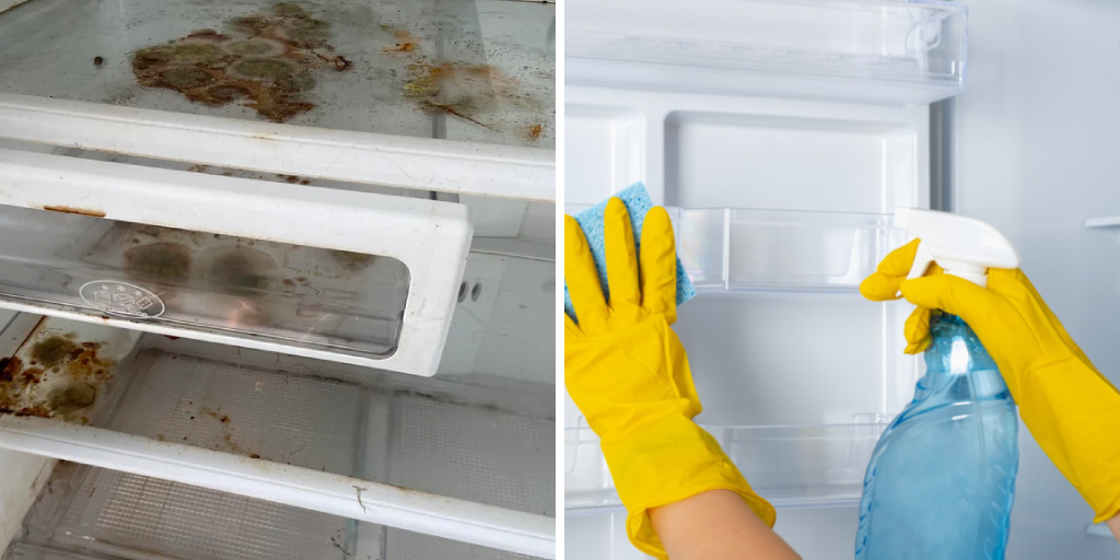 How to Clean an Old Refrigerator With Mold in It