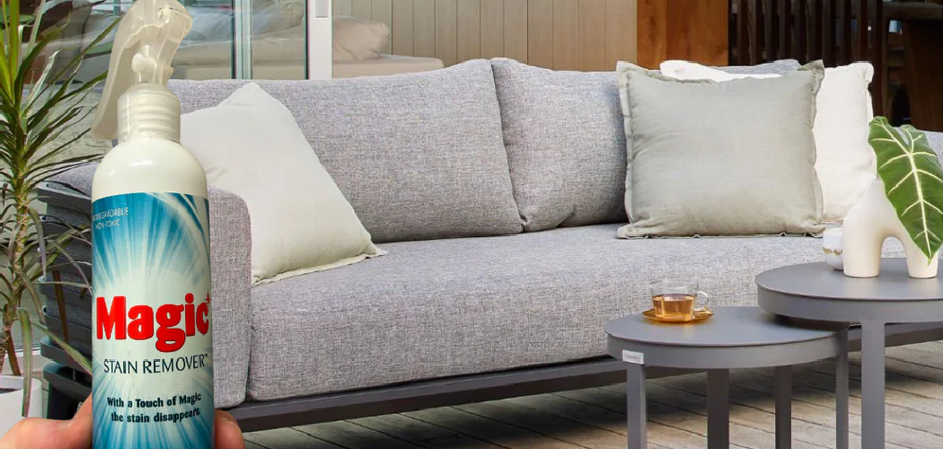 How to Remove Mold from Fabric Sofa