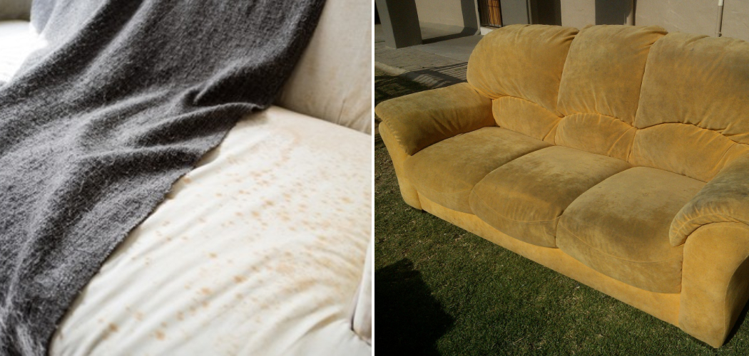 How to Remove Musty Smell from Upholstery